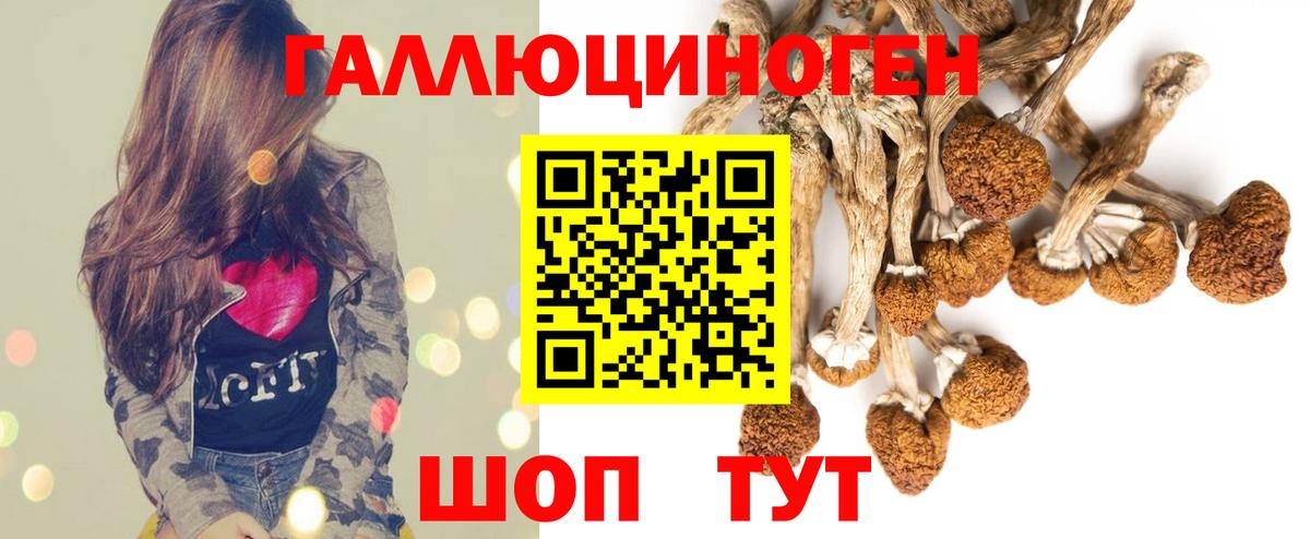 Ижевск  Псилоцибиновые грибы мухоморы  Вход с VPN 
